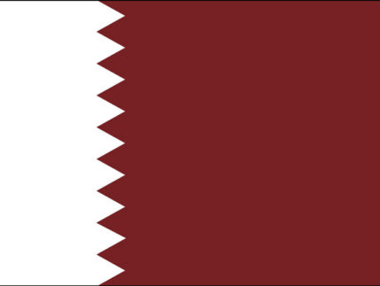 Qatar Email List